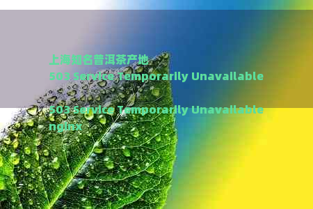 上海知名普洱茶产地 
503 Service Temporarily Unavailable

503 Service Temporarily Unavailable
nginx







