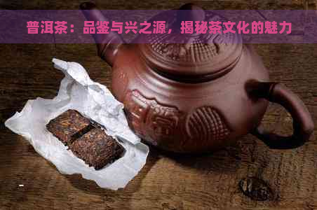 普洱茶：品鉴与兴之源，揭秘茶文化的魅力