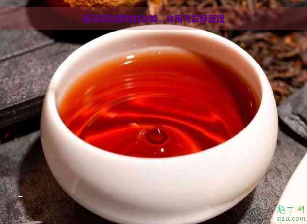 普洱茶发酵剂的种类、作用与发酵原理