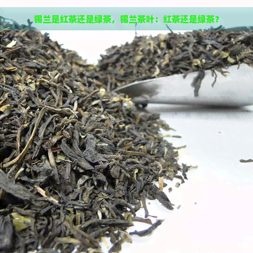 锡兰是红茶还是绿茶，锡兰茶叶：红茶还是绿茶？