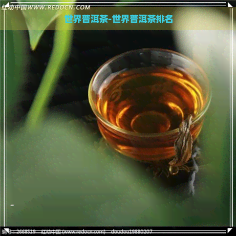 世界普洱茶-世界普洱茶排名